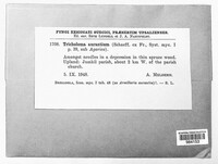 Image Associated With the Occurence